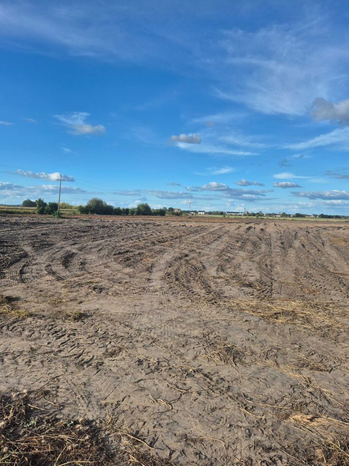 Działka rolna Milęcin. Zdjęcie 4