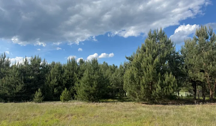 Działka budowlana Ostrowy nad Okszą