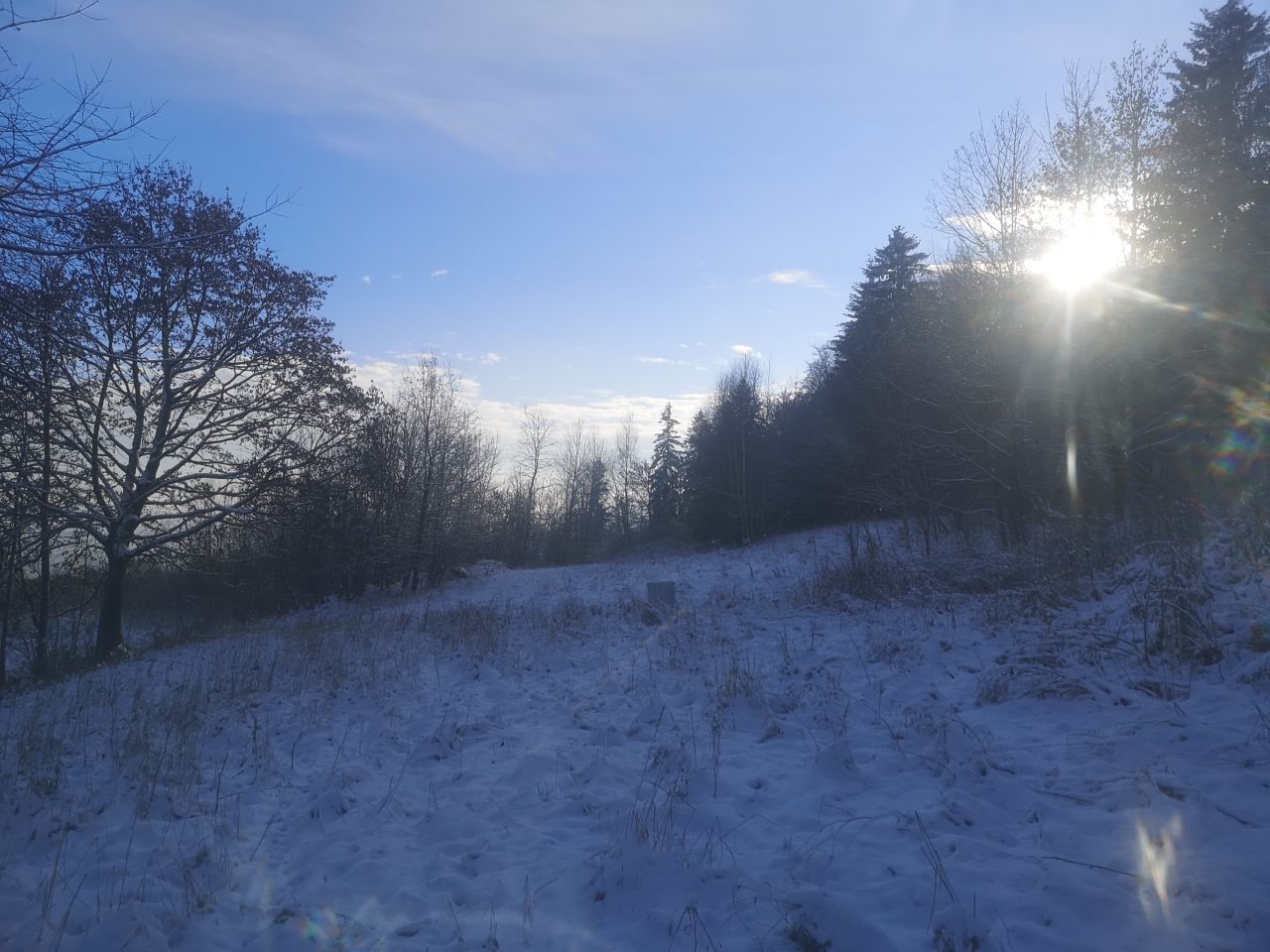 Działka rolno-budowlana Grzmiąca. Zdjęcie 5