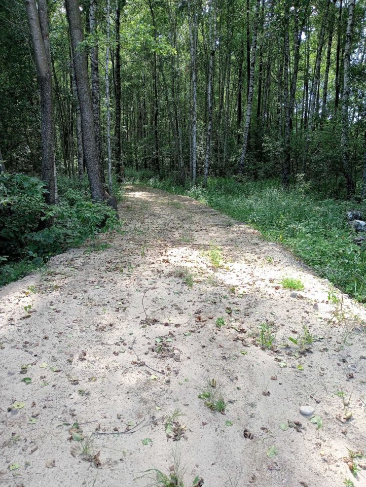 Działka rolno-budowlana Dubowo. Zdjęcie 4