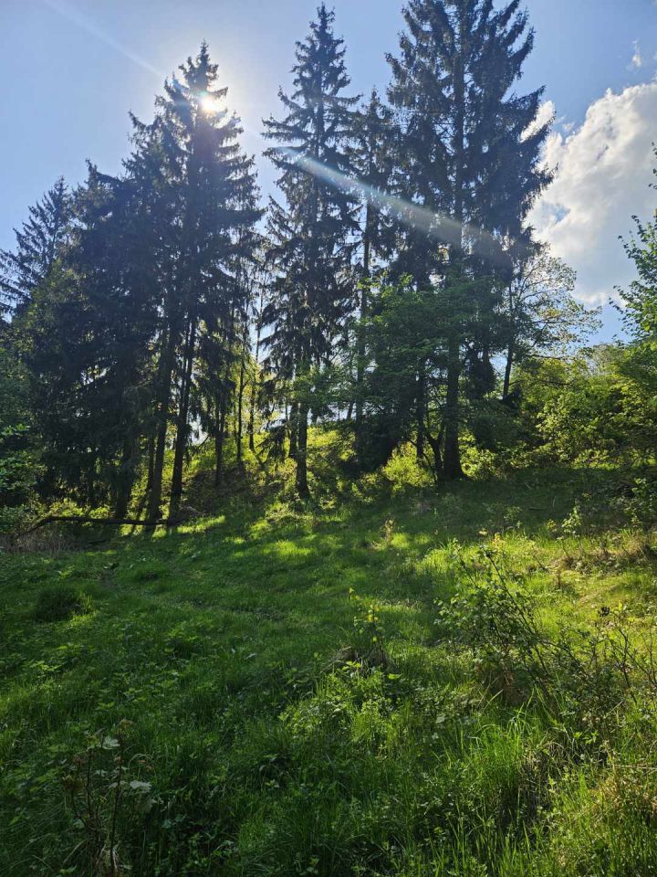 Działka rekreacyjna Żdanów. Zdjęcie 5