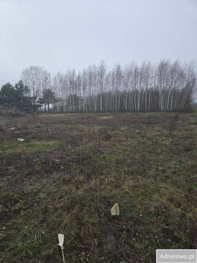 Działka budowlana Walendów, ul. Gwiaździsta. Zdjęcie 2