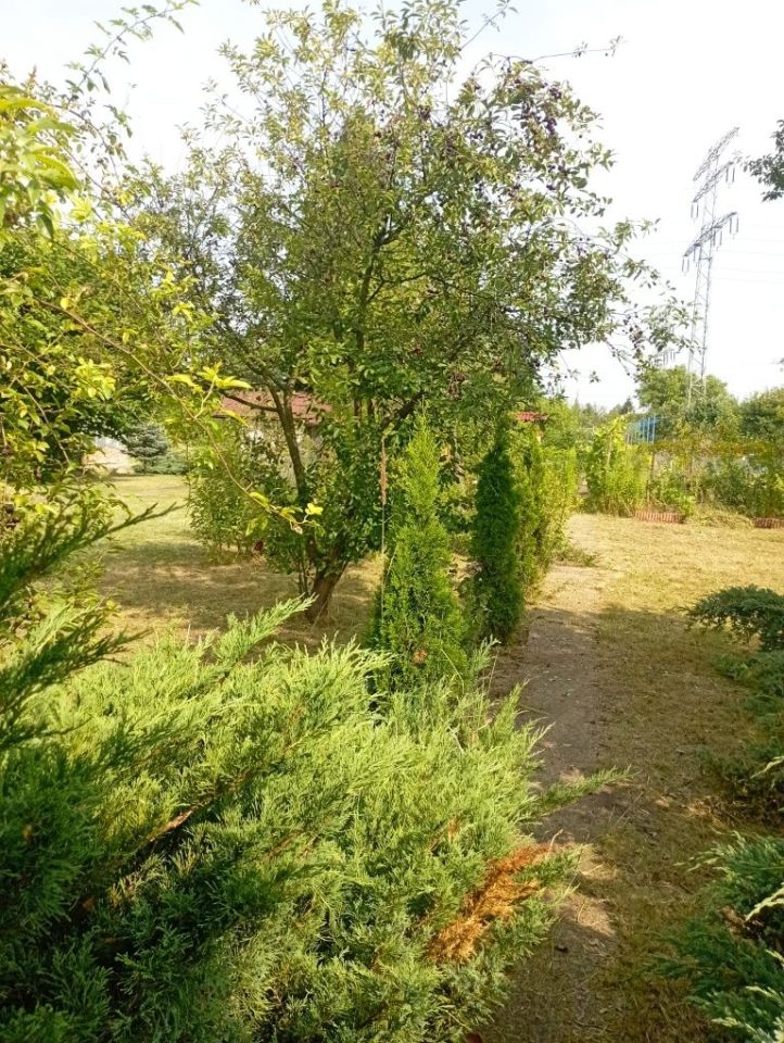 Działka rod Wrocław Stare Miasto, ul. Klecińska. Zdjęcie 3