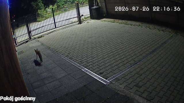 bliźniak Koziegłowy, ul. Lipowa. Zdjęcie 3