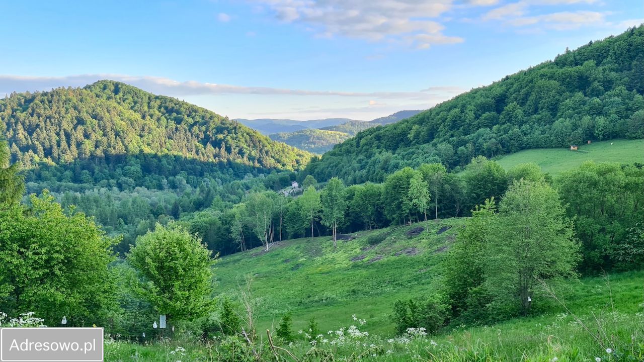 Działka inwestycyjna Wołkowyja, os. Jawory. Zdjęcie 8