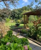 Działka leśna Chorzów. Zdjęcie 3