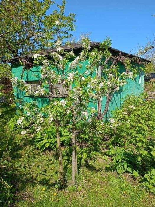 Działka rod Gdańsk Olszynka, ul. Olsztyńska. Zdjęcie 4