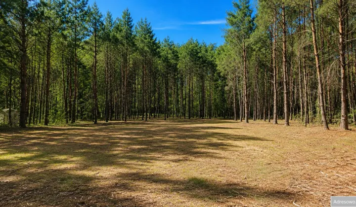 Działka budowlana Karczewko, ul. Bukowa