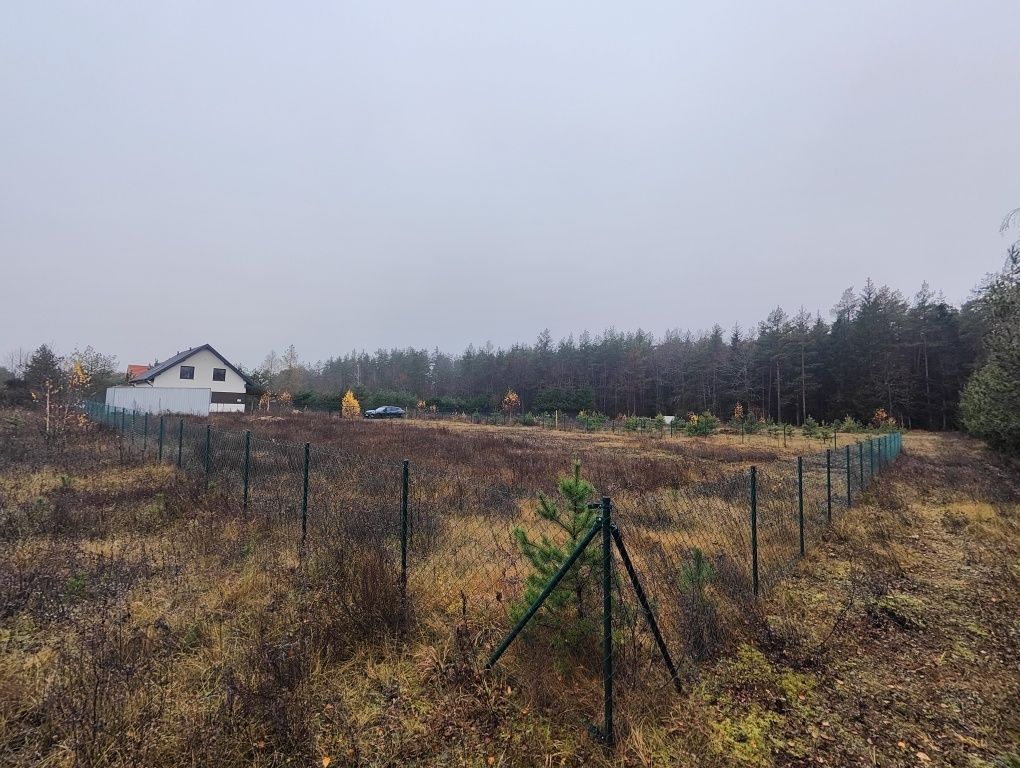 Działka budowlana Danowskie. Zdjęcie 5