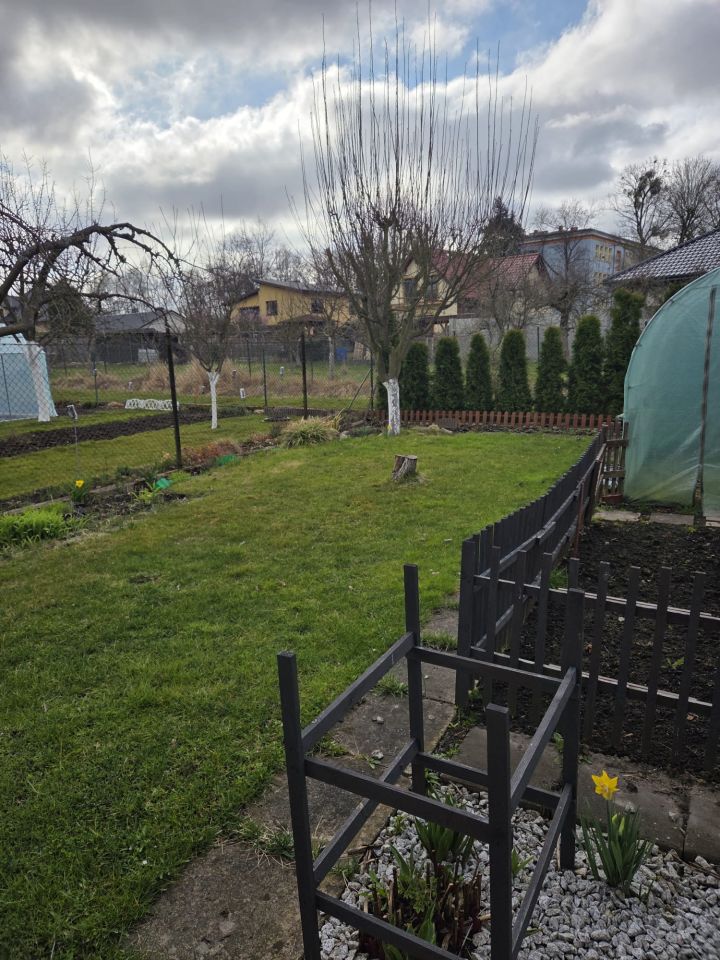 Działka rekreacyjna Chojna, ul. Wilsona. Zdjęcie 7