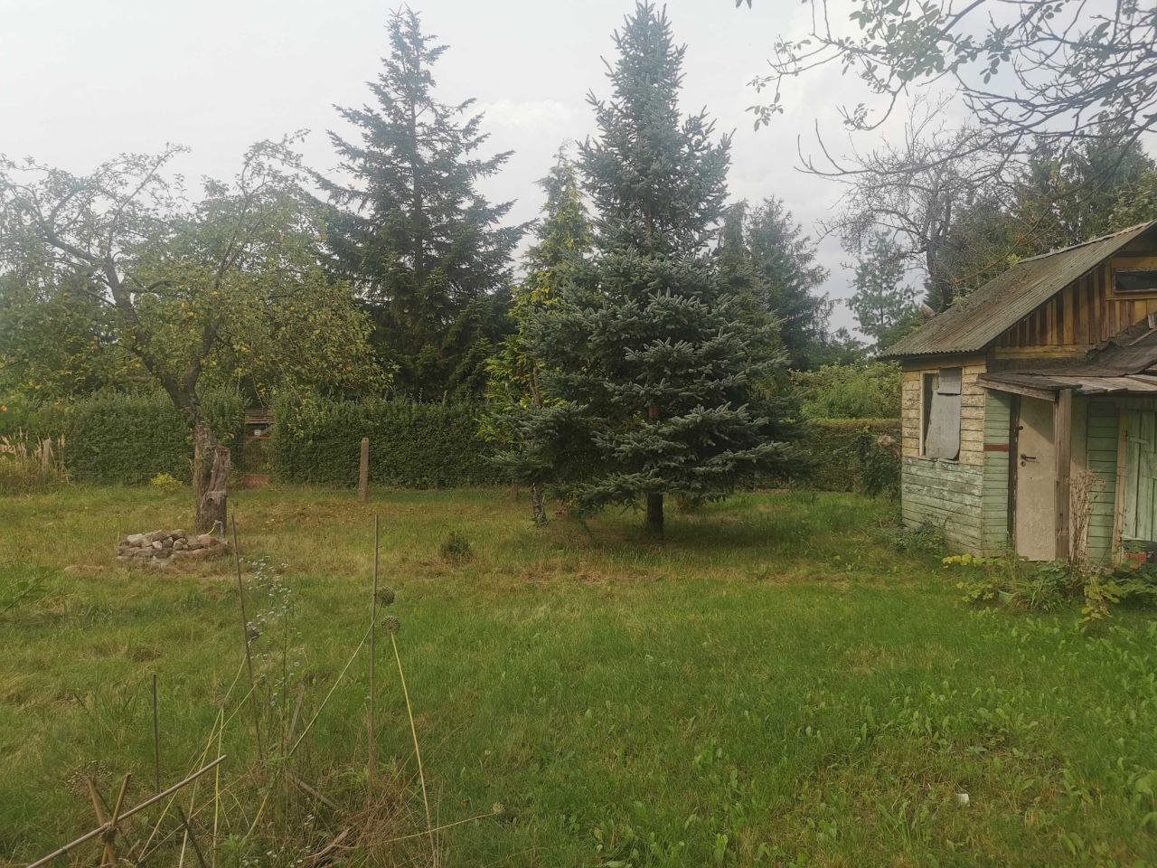 Działka rod Szczecin Gumieńce, ul. Tadeusza Szeligowskiego. Zdjęcie 7