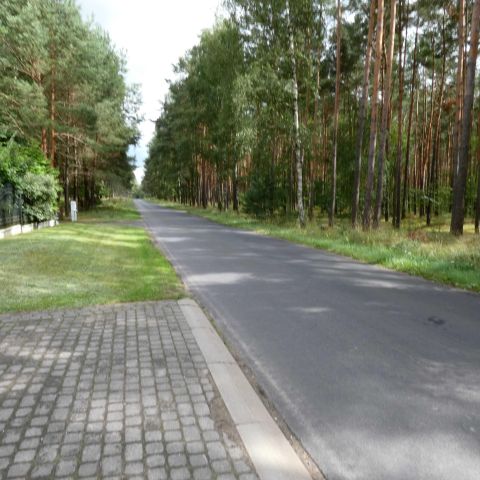 dworek, 4 pokoje Kowalewo, ul. Leśna. Zdjęcie 23
