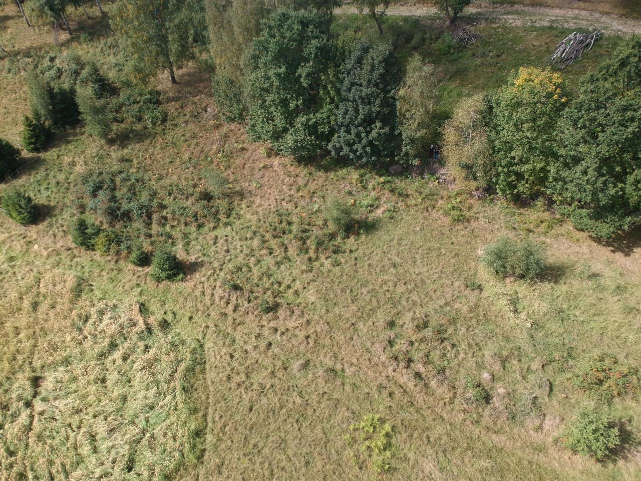 Działka budowlana Targoszów Podbucznik. Zdjęcie 9
