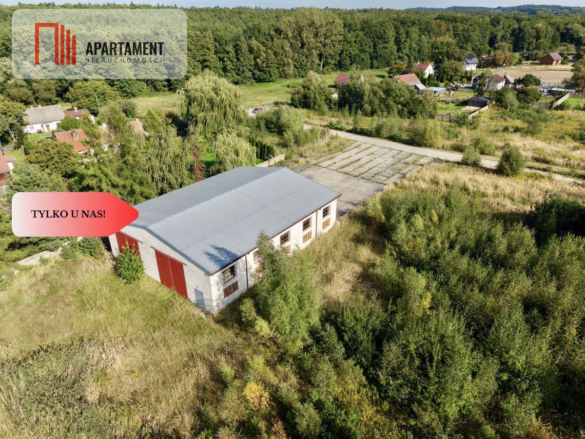 Lokal Królewska Wola. Zdjęcie 5