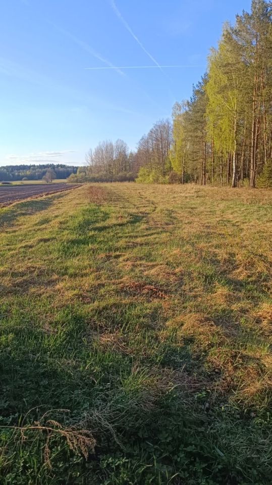 Działka rolna Bór. Zdjęcie 7