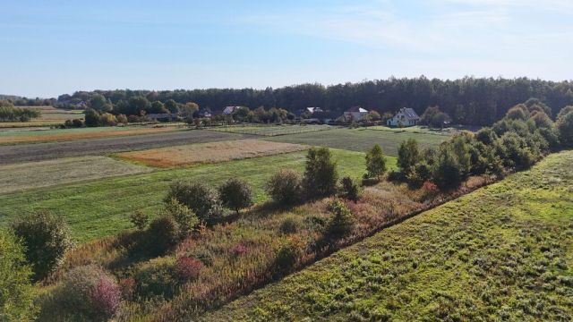 Działka rolna Gwizdów. Zdjęcie 3
