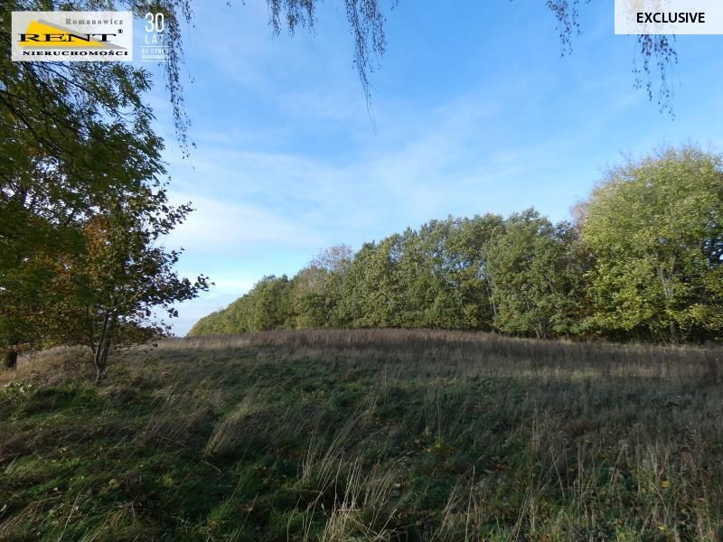 Działka siedliskowa Danowo. Zdjęcie 5