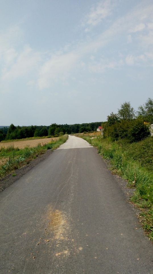 Działka rolna Władysław Doły. Zdjęcie 3