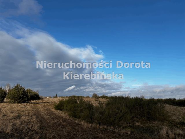 Działka Brzustów. Zdjęcie 13