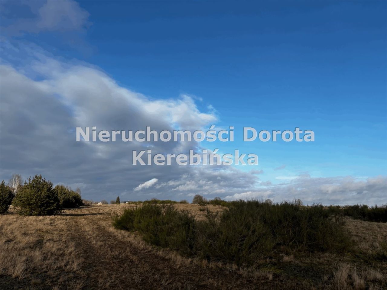 Działka Brzustów. Zdjęcie 13