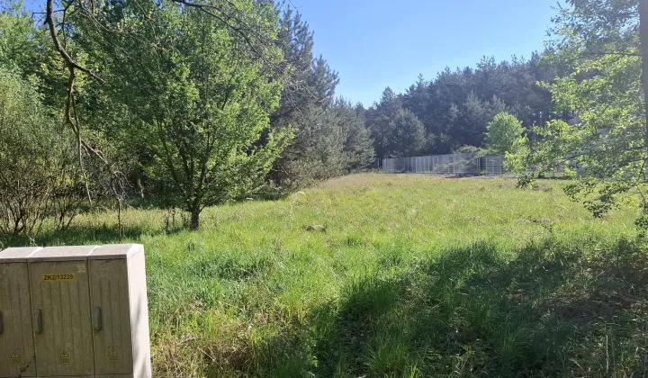 Działka budowlana Dębska Kuźnia, ul. Kolonia