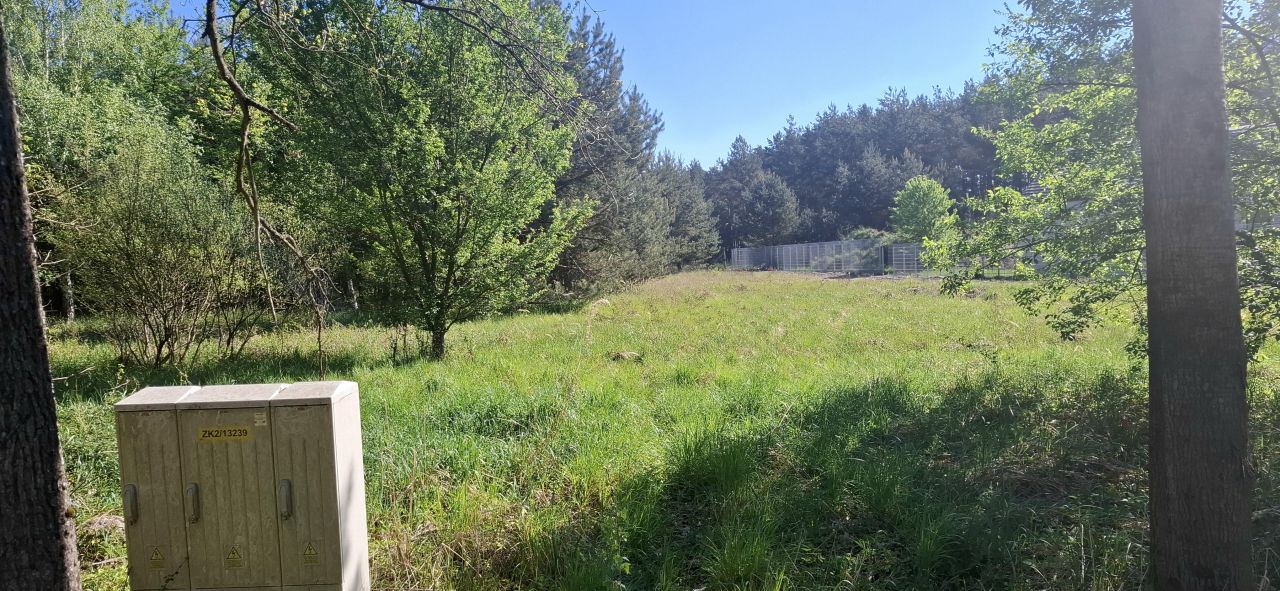 Działka budowlana Dębska Kuźnia, ul. Kolonia. Zdjęcie 1