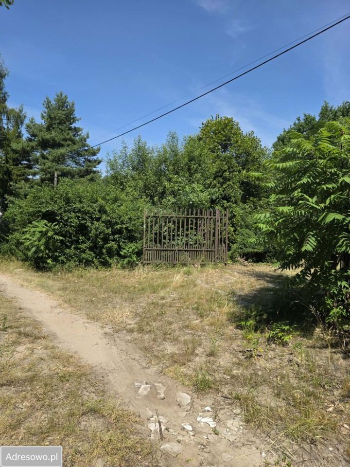 Działka rolno-budowlana Nowe Polesie. Zdjęcie 6