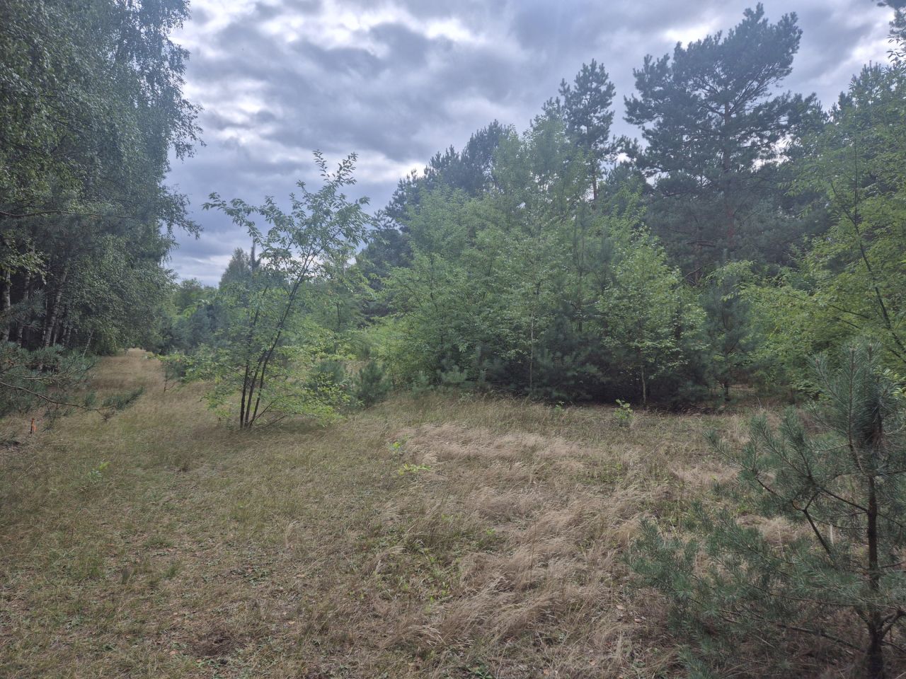 Działka budowlana Kurnos Drugi. Zdjęcie 6