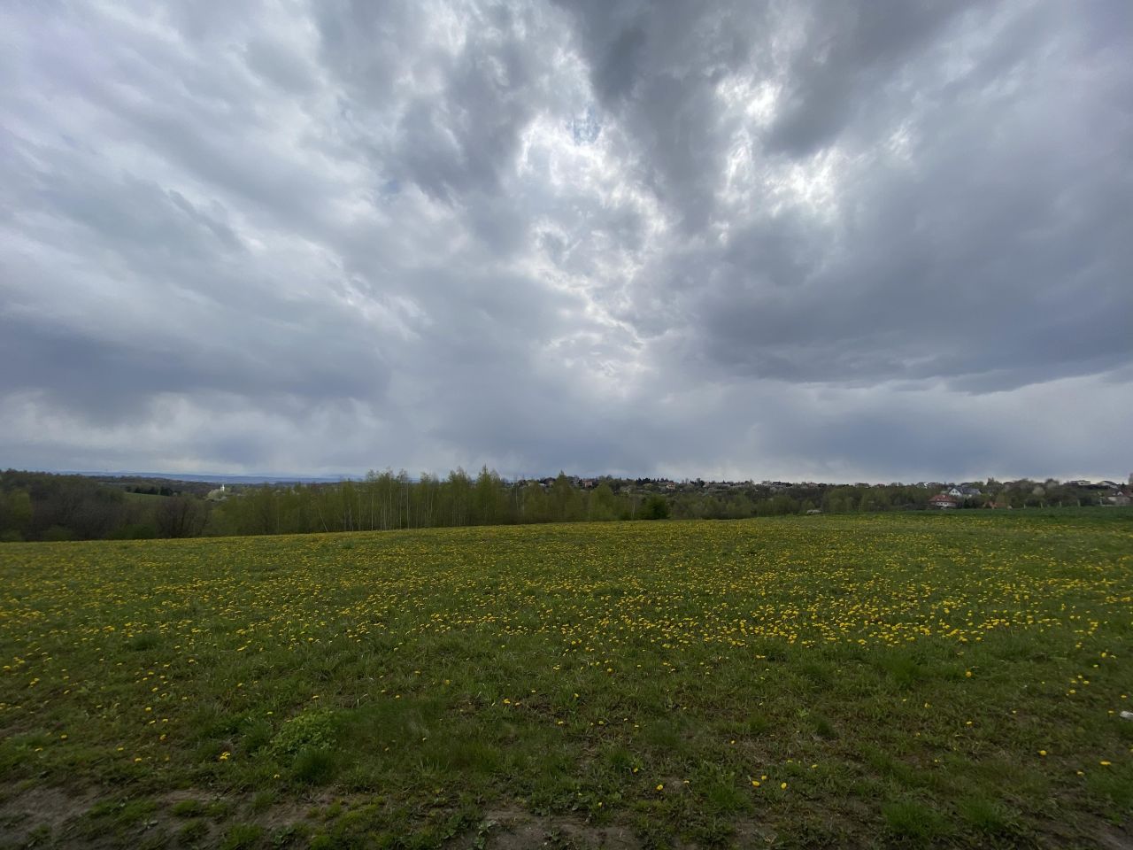 Działka rolna Grębynice, ul. Studencka. Zdjęcie 3