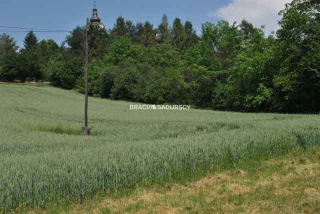 Działka inwestycyjna Brzezie. Zdjęcie 5