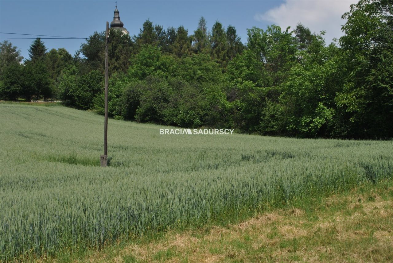 Działka inwestycyjna Brzezie. Zdjęcie 5