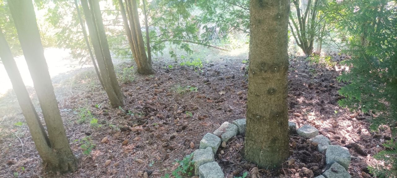 Działka rod Psary. Zdjęcie 5