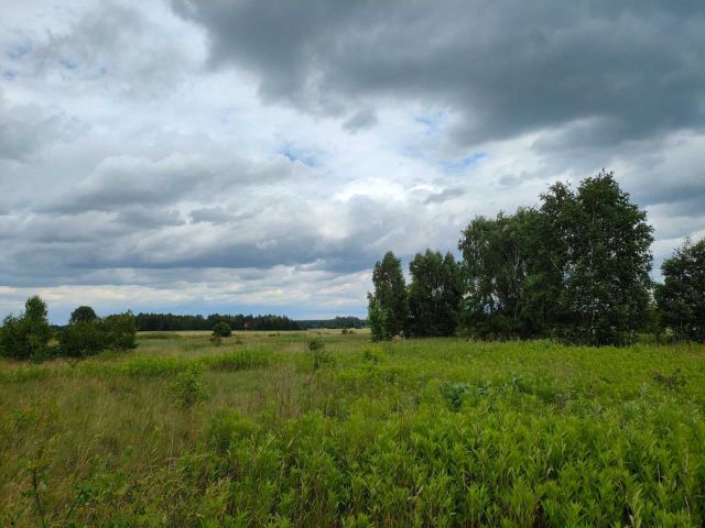 Działka budowlana Szczypiorno. Zdjęcie 1