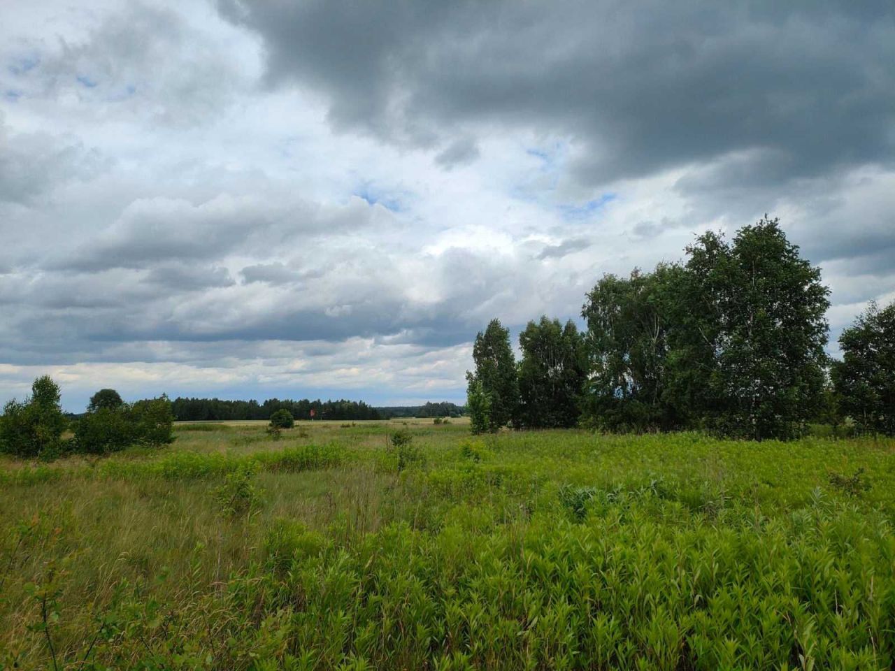 Działka budowlana Szczypiorno