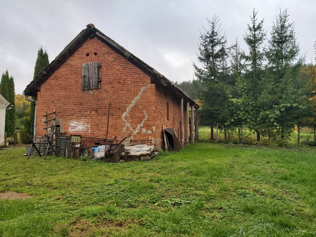 Działka rekreacyjna Plenowo