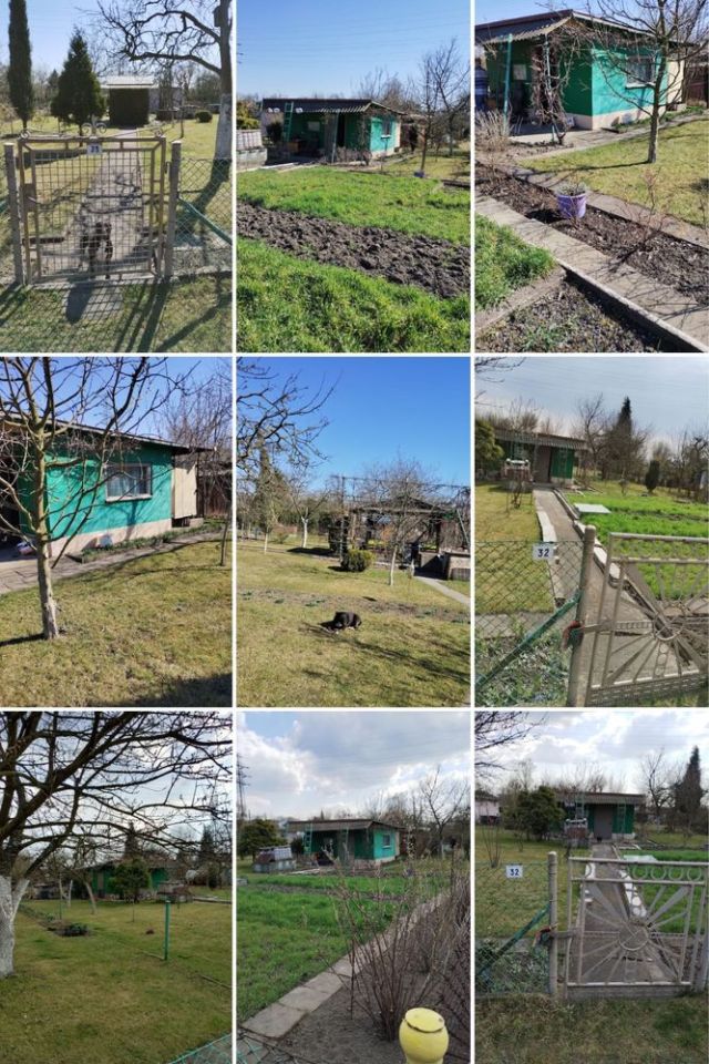 Działka rod Gliwice, ul. Toszecka. Zdjęcie 3