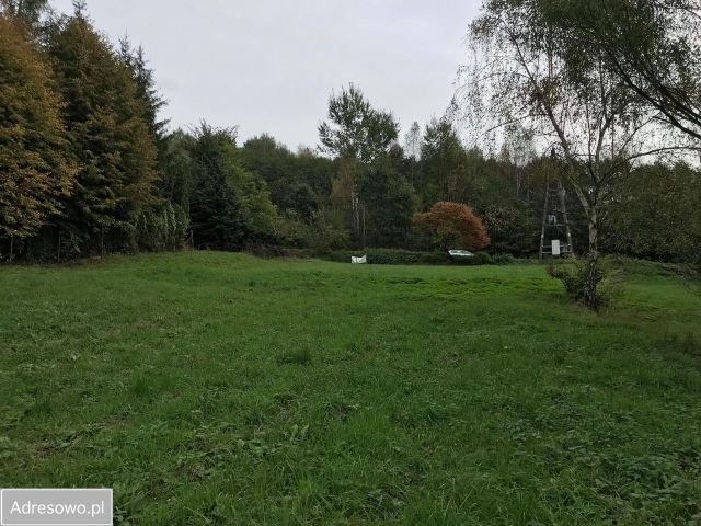 Działka rolno-budowlana Lusina, ul. Kwiatowa. Zdjęcie 1