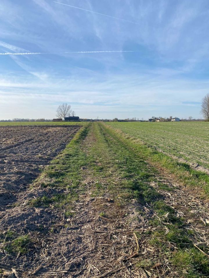 Działka budowlana Długie. Zdjęcie 7