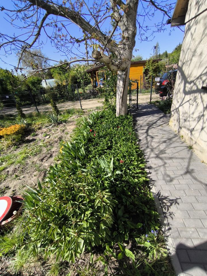 Działka rod Ciechanów Śmiecin, ul. Leśna. Zdjęcie 13