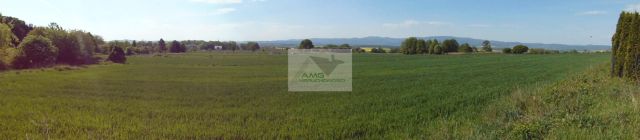 Działka rolno-budowlana Kiełczyn. Zdjęcie 1