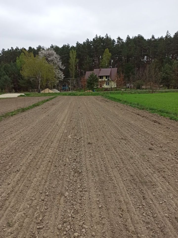 Działka rolno-budowlana Huta Szumy. Zdjęcie 3