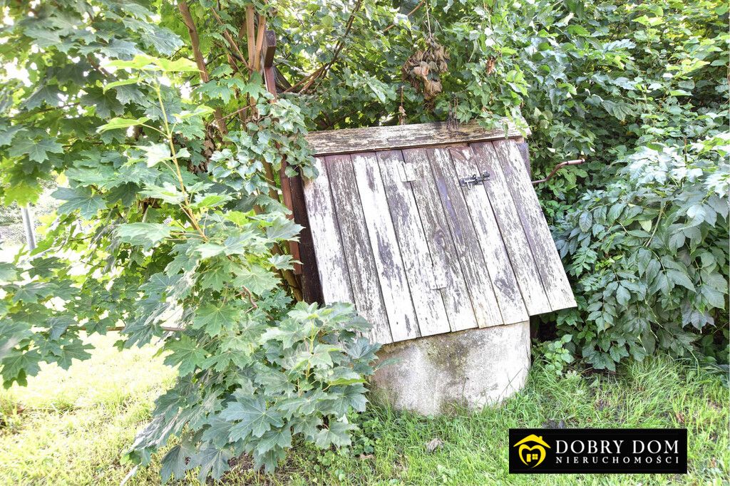 siedlisko, 1 pokój Nowodziel. Zdjęcie 6