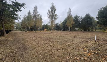 Działka budowlana Pawłowice, ul. Akacjowa