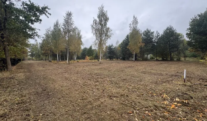 Działka budowlana Pawłowice, ul. Akacjowa