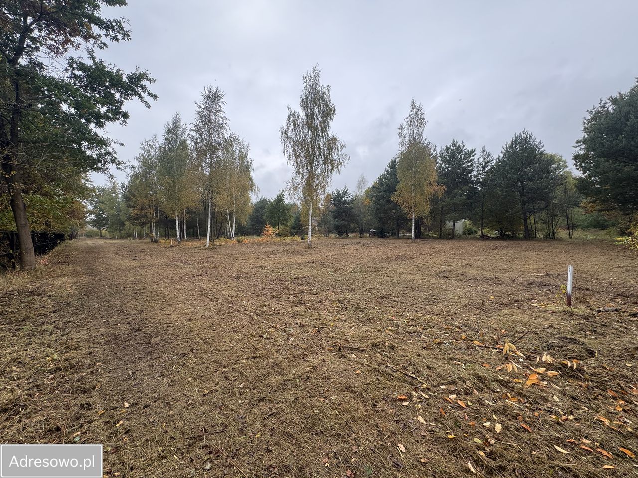 Działka budowlana Pawłowice, ul. Akacjowa