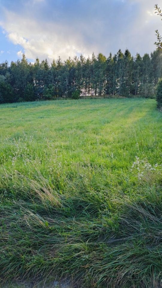 Działka rolno-budowlana Nowe Kiejkuty. Zdjęcie 4