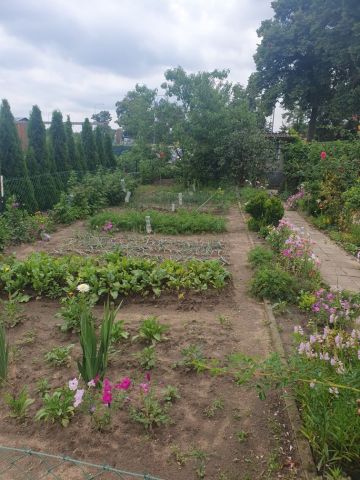 Działka rod Wschowa, ul. Daszyńskiego. Zdjęcie 1