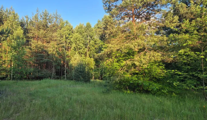 Działka budowlana Kurnos Drugi