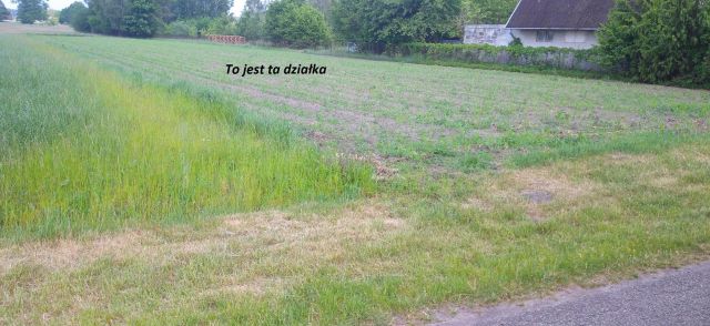 Działka rolno-budowlana Piaski Nowa Wieś. Zdjęcie 1