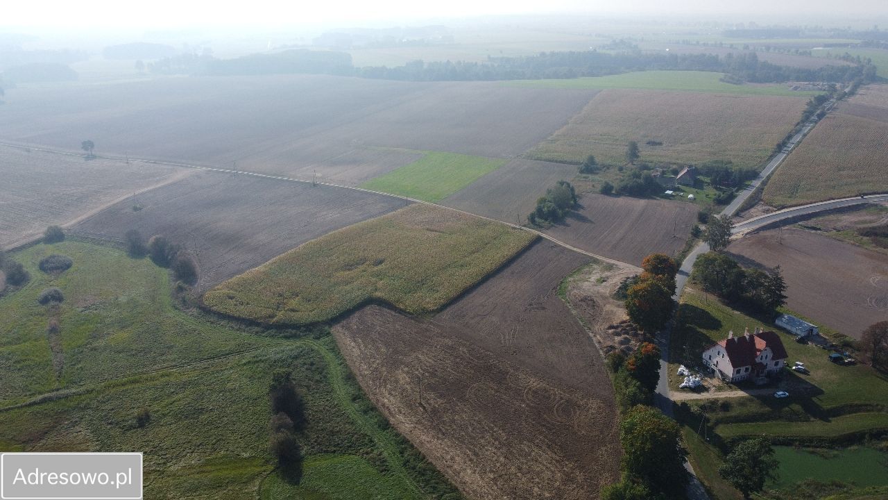 Działka inwestycyjna Stare Dzierzążno. Zdjęcie 8